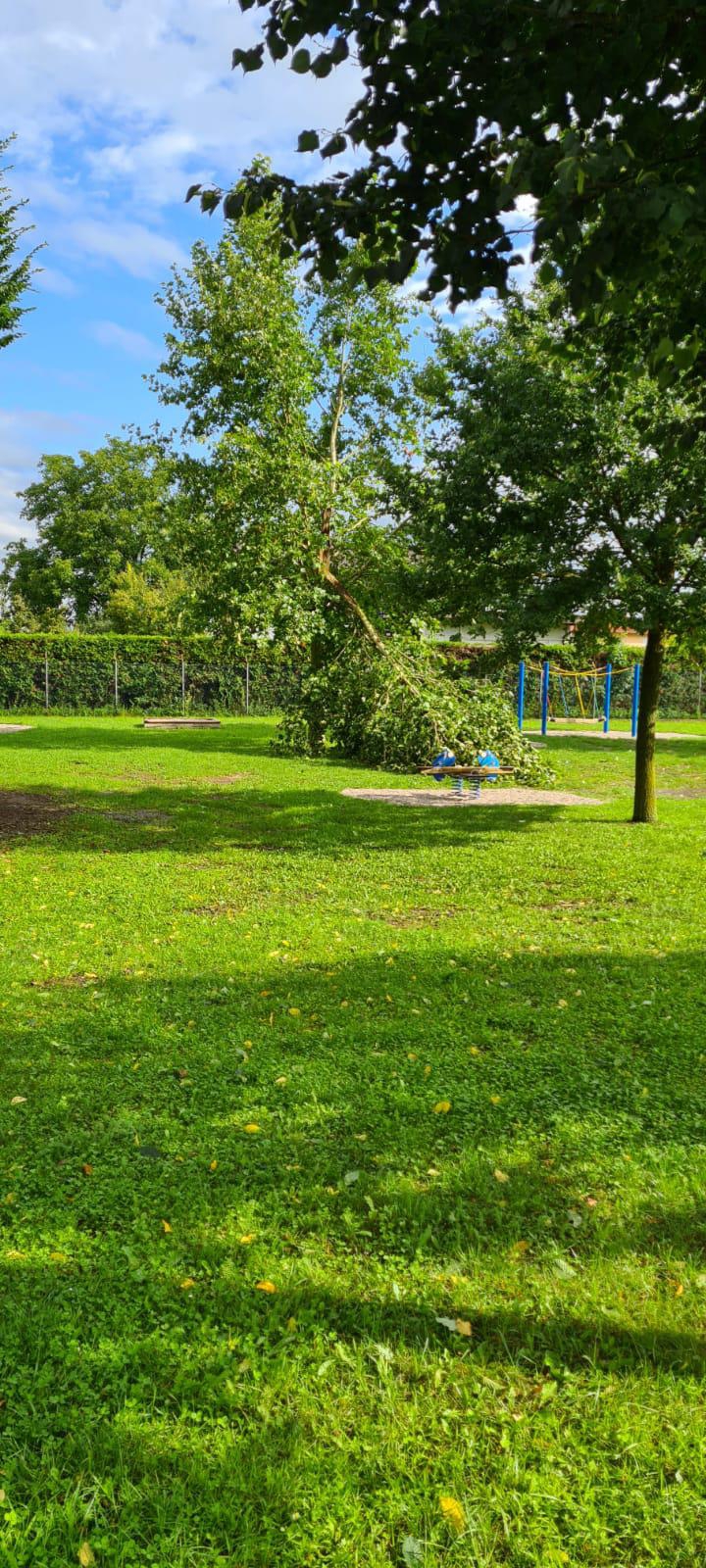 Technische Hilfeleistung Technische Hilfeleistung